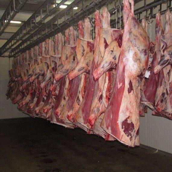 Frozen Halal Buffalo