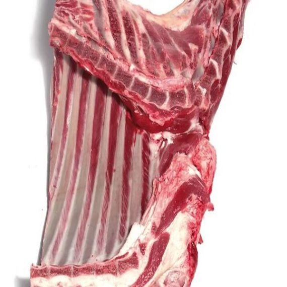 Beef Hind-Quarter