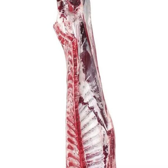 Frozen Beef Carcass