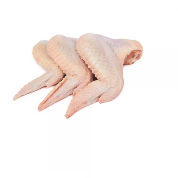 Frozen 3 Joint Wing